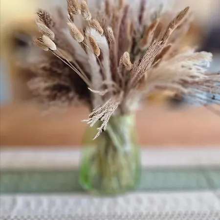 Lace Stilvoll In Der Spitzenstadt * Плауэн