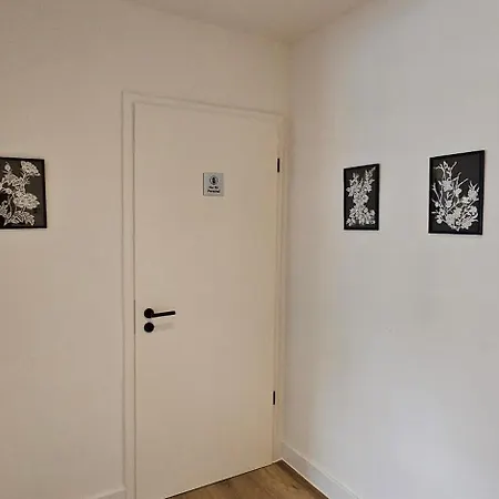 Lace Stilvoll In Der Spitzenstadt Апартаменты Плауэн