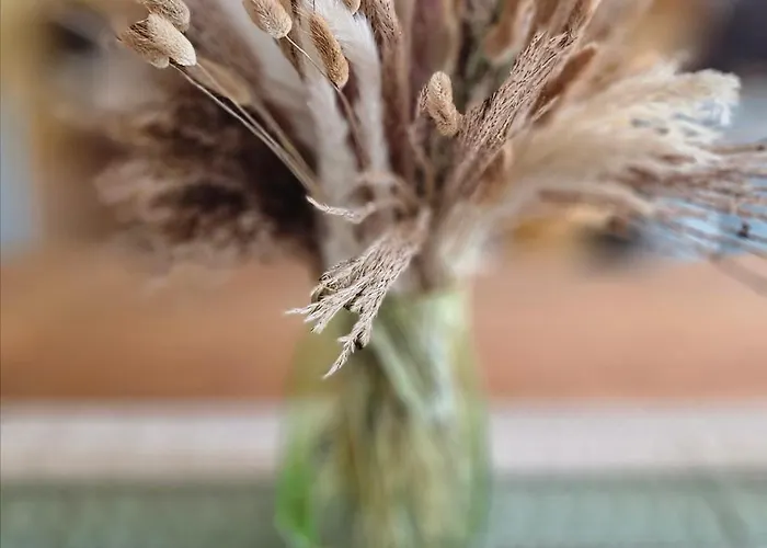 Lace Stilvoll In Der Spitzenstadt * Plauen